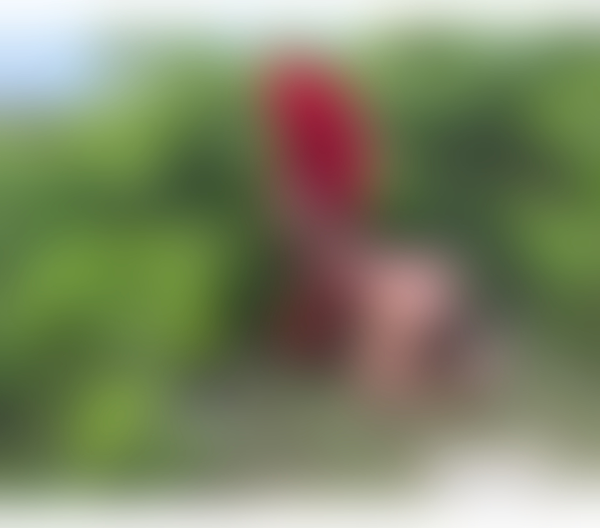 Trans Escorts East London Havering - Photos for India hot XXL🍆